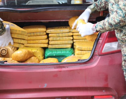 Lutte contre le trafic de stupéfiants: Les douanes ivoiriennes saisissent 74 Kg de cannabis