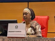 Parlement de la Cedeao : « Très peu de femmes sont au-devant de la scène », déplore Chantal Fanny Epse Diaby