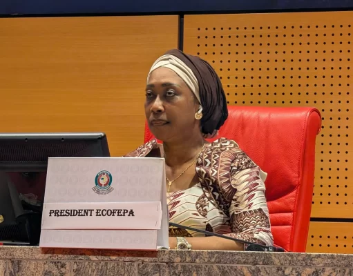 Parlement de la Cedeao : « Très peu de femmes sont au-devant de la scène », déplore Chantal Fanny Epse Diaby